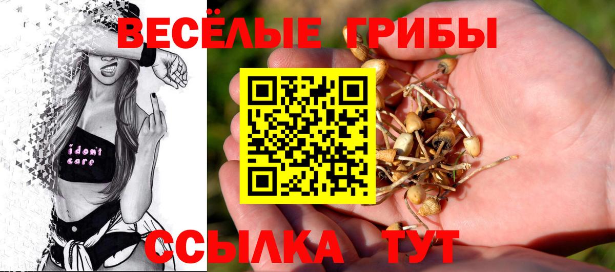 Псилоцибиновые грибы Psilocybe Урус-Мартан