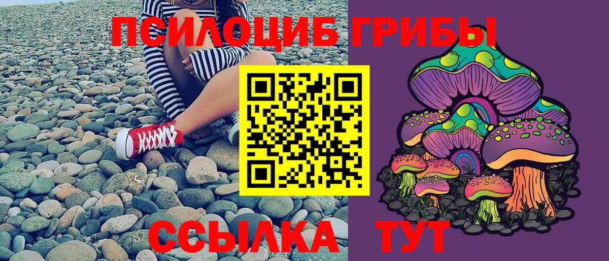Галлюциногенные грибы Psilocybine cubensis  Вход с VPN  Галлюциногенные грибы MAGIC MUSHROOMS  Урус-Мартан 